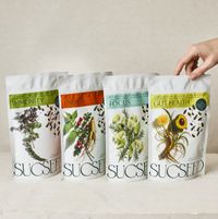 Company name - SUCSEED Ltd