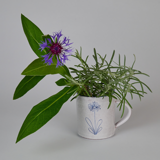 Exhibitor profile image for Gillshaw Pottery