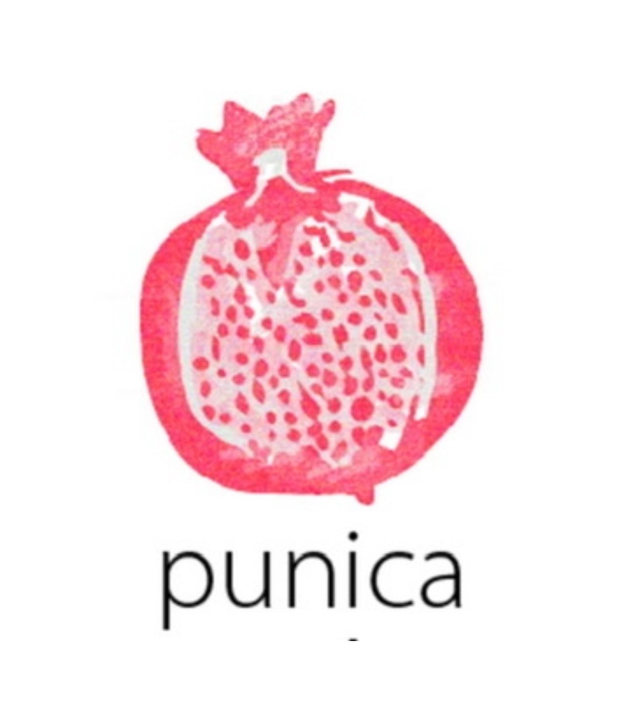 Punica Ltd