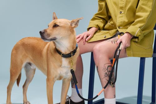 Shongololo Collection