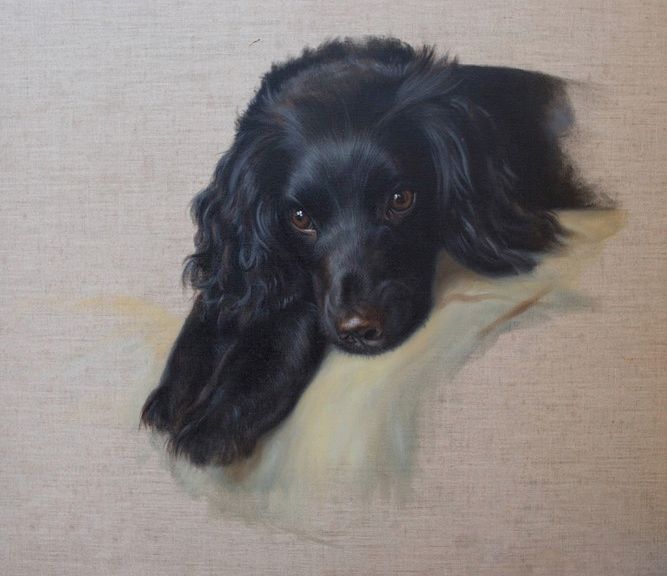 Animal Portraiture