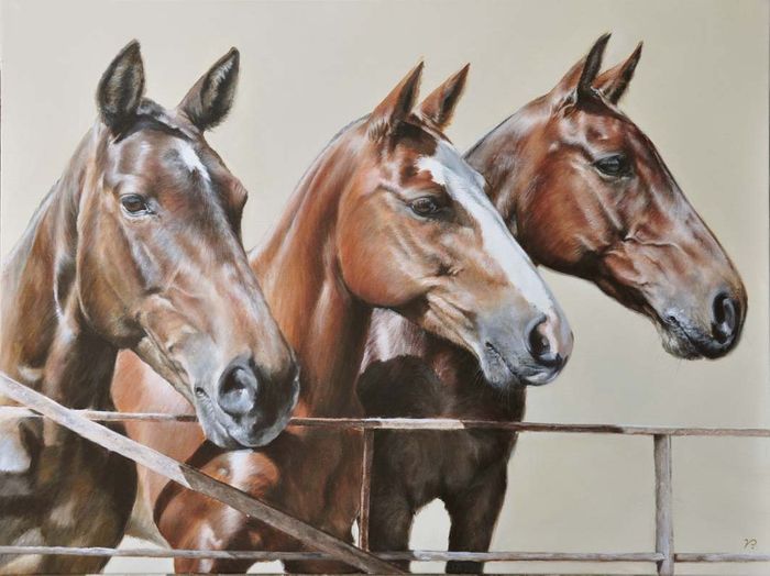 Animal Portraiture