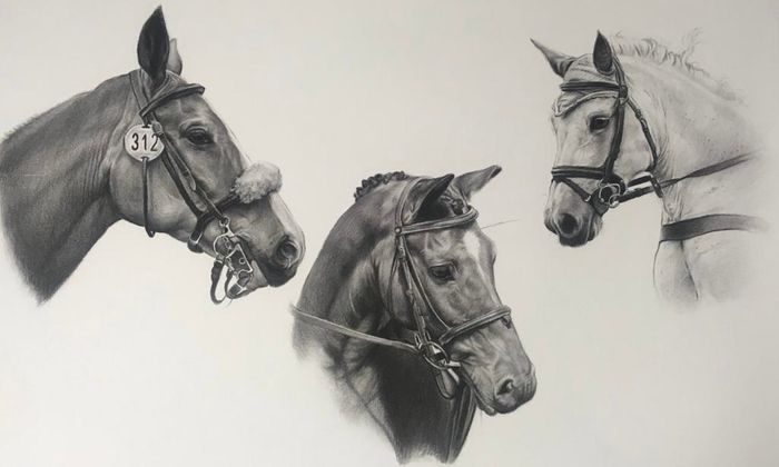 Animal Portraiture