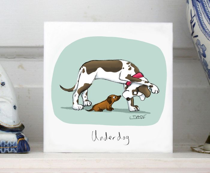 Greeting Cards