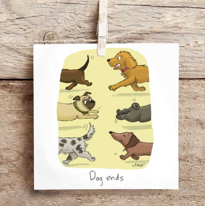 Greeting Cards