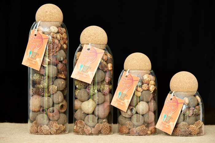 Seed Ball Gift Jar