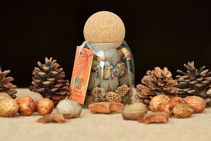 Seed Ball Gift Jar