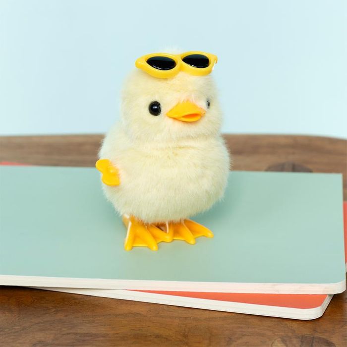Fluffy wind-up toys