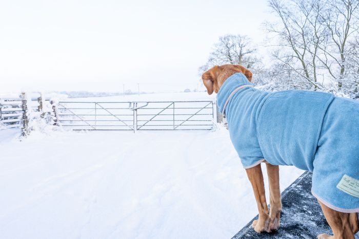Classic Dog Drying Coat