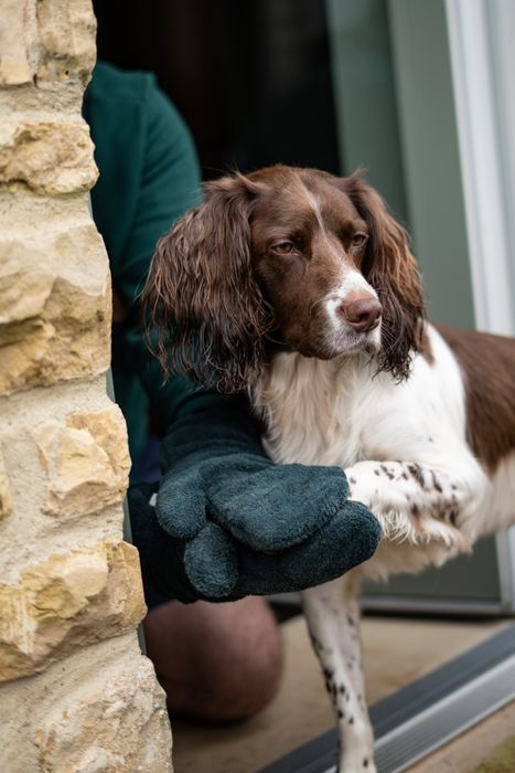 Dog Drying Mitts