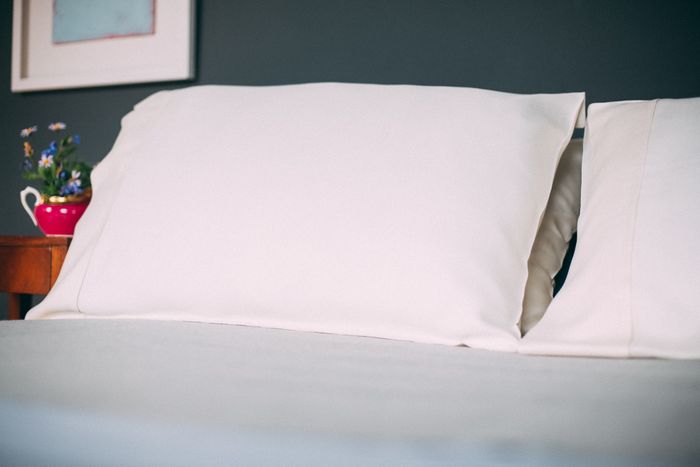 Mulberry Silk Pillowcases