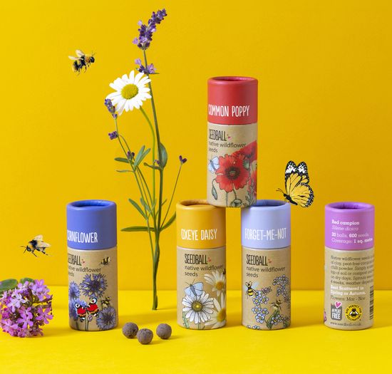 Wildflower Collection Collection of 5 Tubes