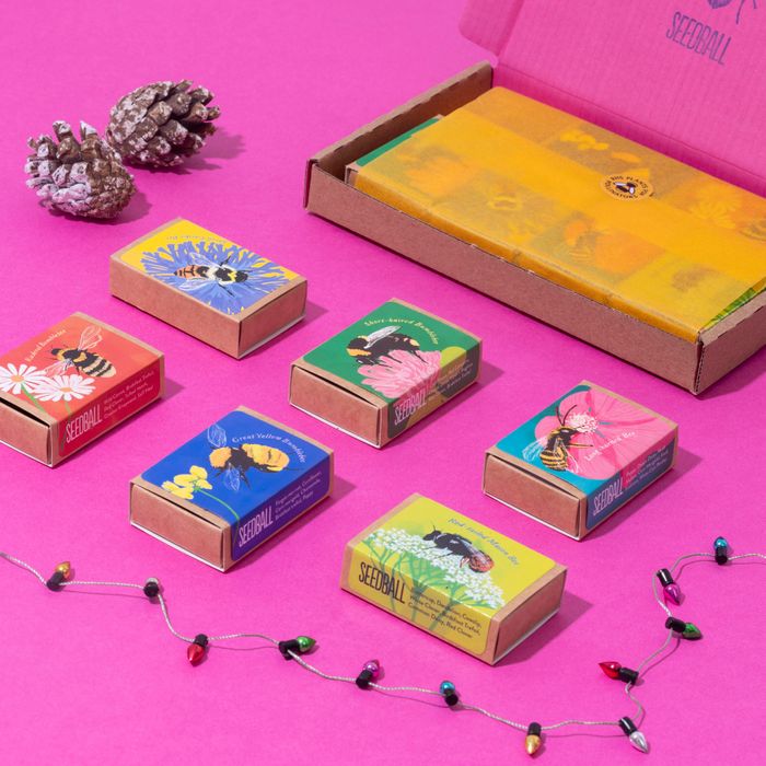 Flowers for Bees Collection