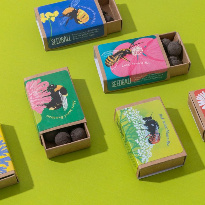 Flowers for Bees Collection