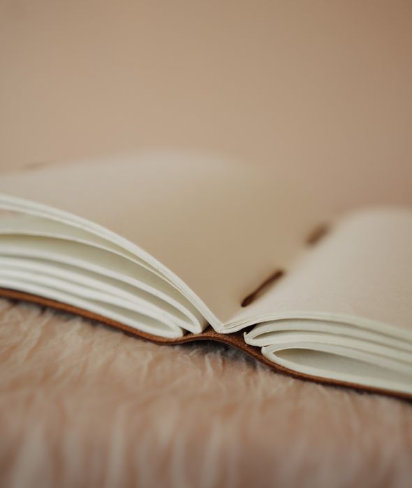 The Journal