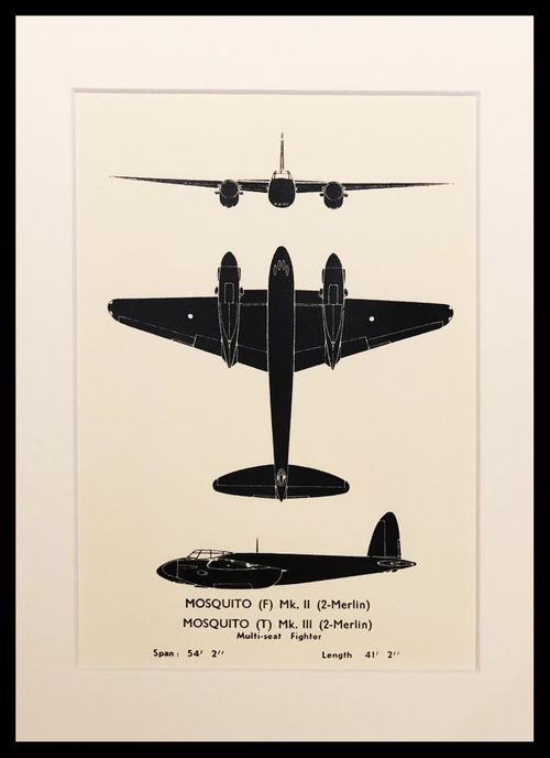 Mosquito (REPRO A4) Recognition Silhouette