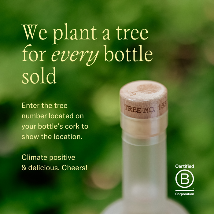Naturally Smooth Sapling Gin 