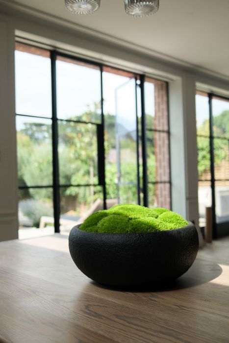 Large Preserved Moss Bowls