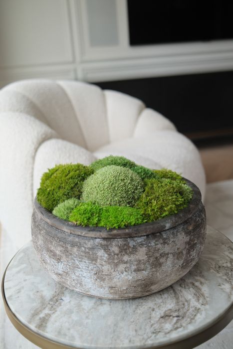 Large Preserved Moss Bowls