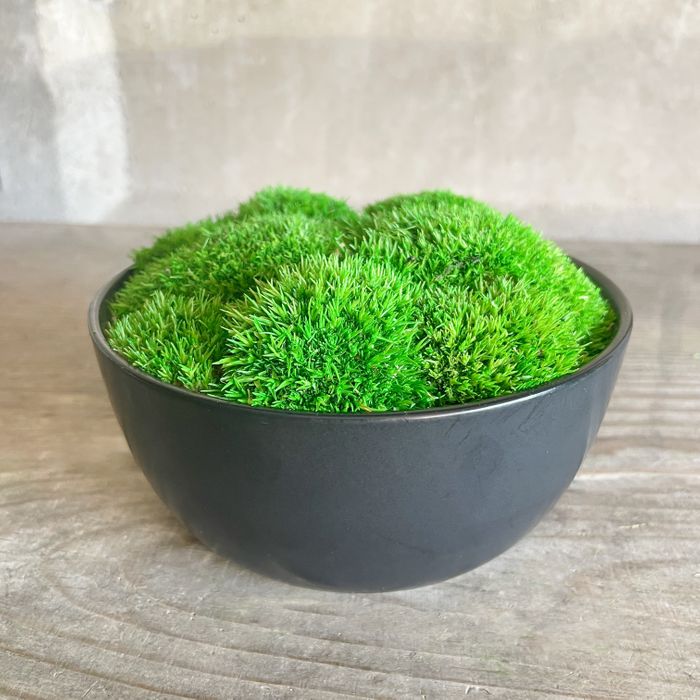 Small Moss Bowls in Vintage bowl