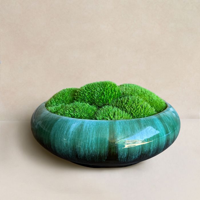 Small Moss Bowls in Vintage bowl