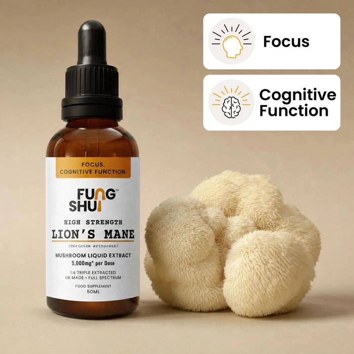 High Strength Lion's Mane Liquid Extract
