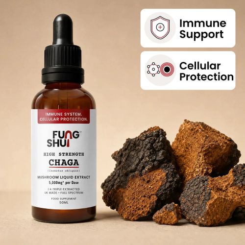 High Strength Chaga Liquid Extract