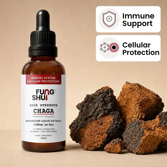 High Strength Chaga Liquid Extract