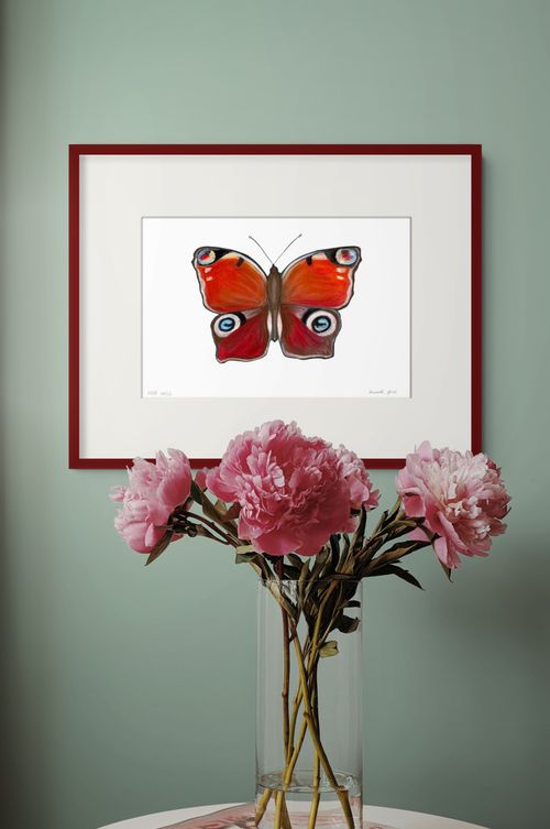 'Pastel Peacock Butterfly'