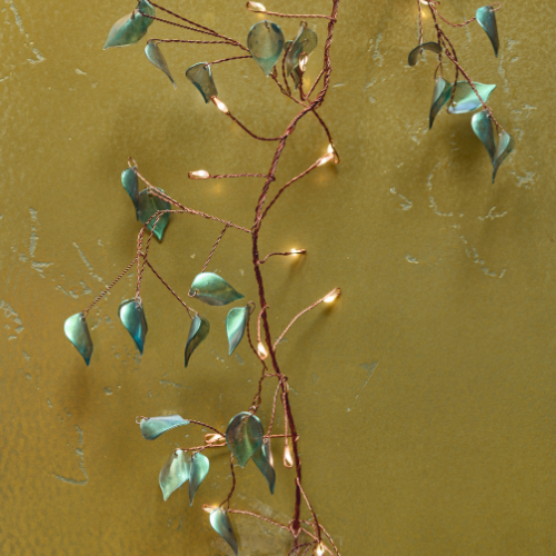 Olea Cluster