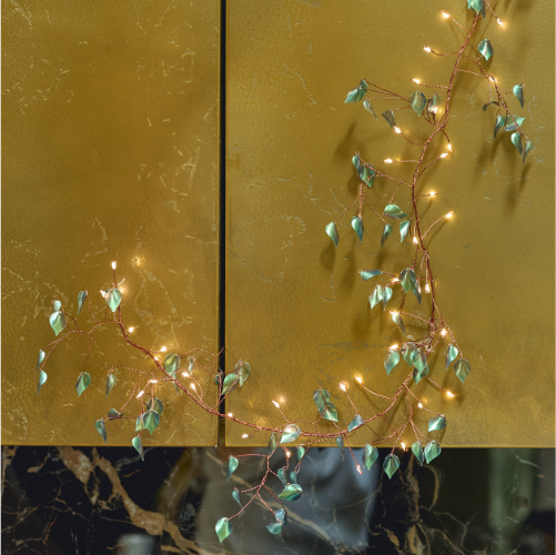 Olea Cluster