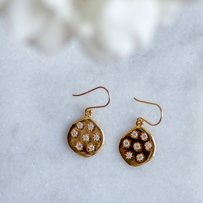 Stargazer Earrings