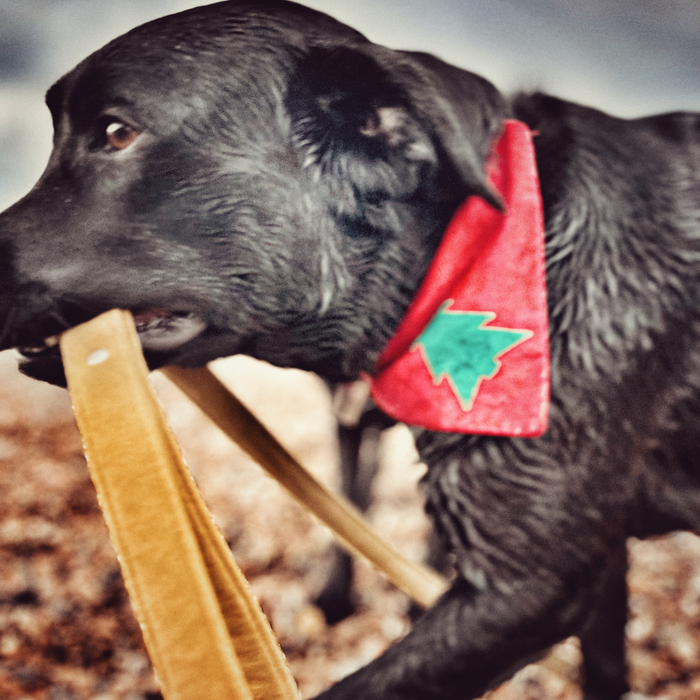 Classic Christmas Tree Bandana