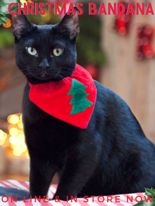 Classic Christmas Tree Bandana