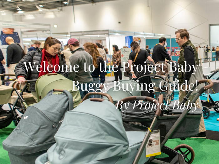 Welcome to the Project Baby Buggy Buying Guide!