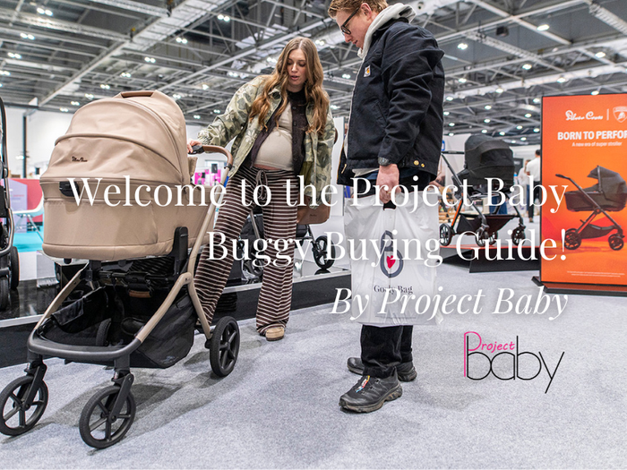 Welcome to the Project Baby Buggy Buying Guide!