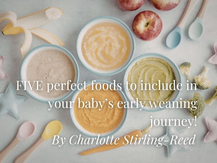 FIVE perfect foods to include in your baby’s early weaning journey!