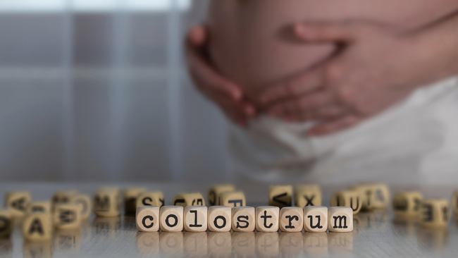 What is Colostrum Harvesting?