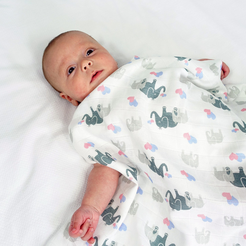 MuslinZ Bamboo Organic Cotton Collection
