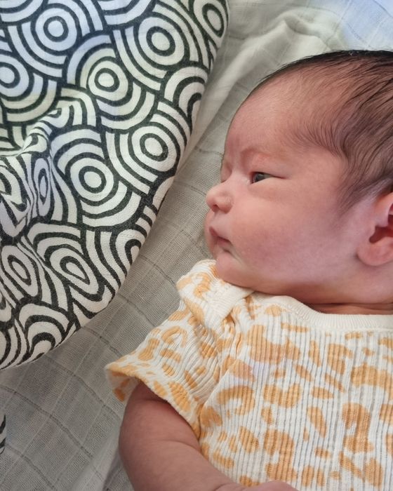 MuslinZ Sensory Muslin Collection