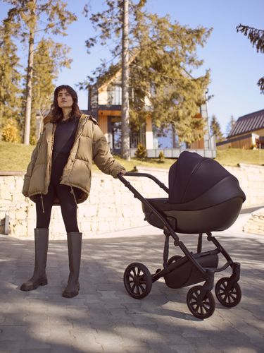 Anex M Type Travel System