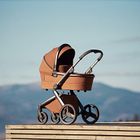 Anex L Type Travel System