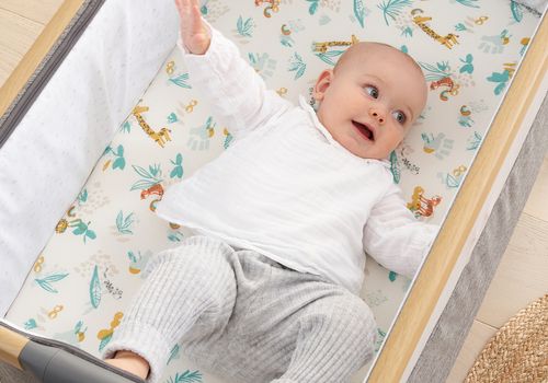 Bedside Crib Starter Pack - Run Wild