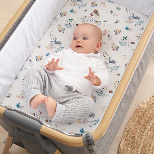 Bedside Crib Fitted Sheets - Our Planet