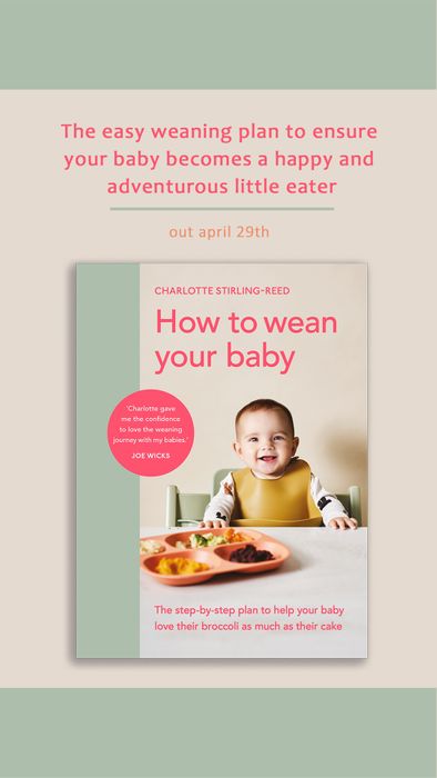 How to Wean Your Baby - Sunday Times Bestseller