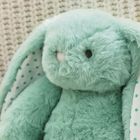 Personalised My 1st Years Gift Box Blue Bunny Soft Toy