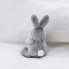 Mini Grey Bunny Soft Toy