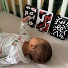 Newborn Baby Sensory Flash Cards