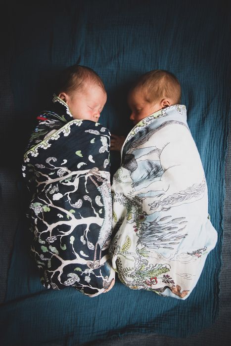 Enchanted Forest Organic Muslin