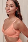 The Plunge Bra